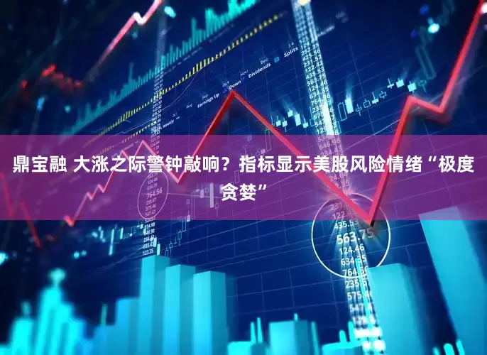 鼎宝融 大涨之际警钟敲响？指标显示美股风险情绪“极度贪婪”
