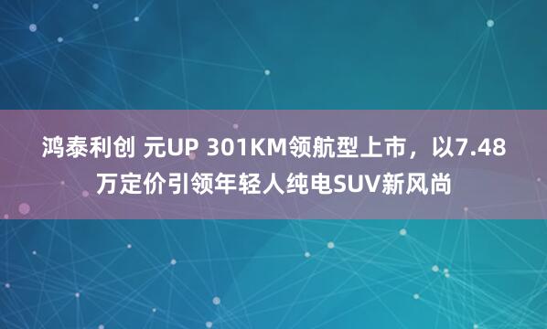 鸿泰利创 元UP 301KM领航型上市，以7.48万定价引领年轻人纯电SUV新风尚