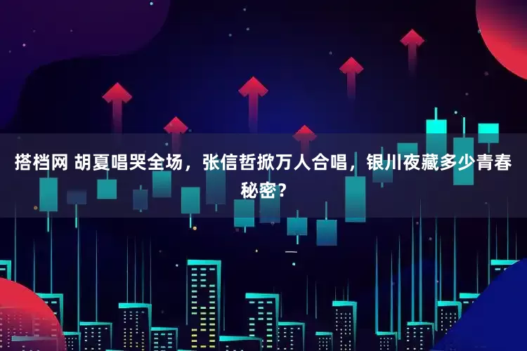 搭档网 胡夏唱哭全场，张信哲掀万人合唱，银川夜藏多少青春秘密？