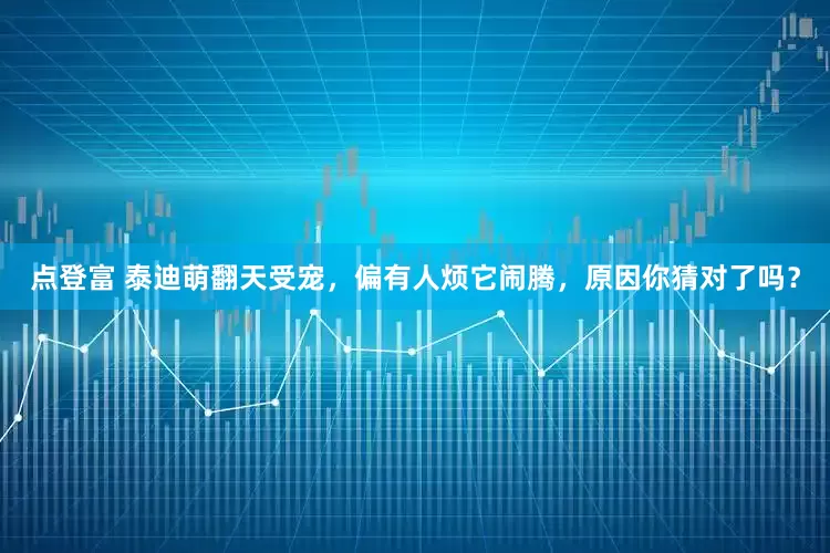 点登富 泰迪萌翻天受宠，偏有人烦它闹腾，原因你猜对了吗？