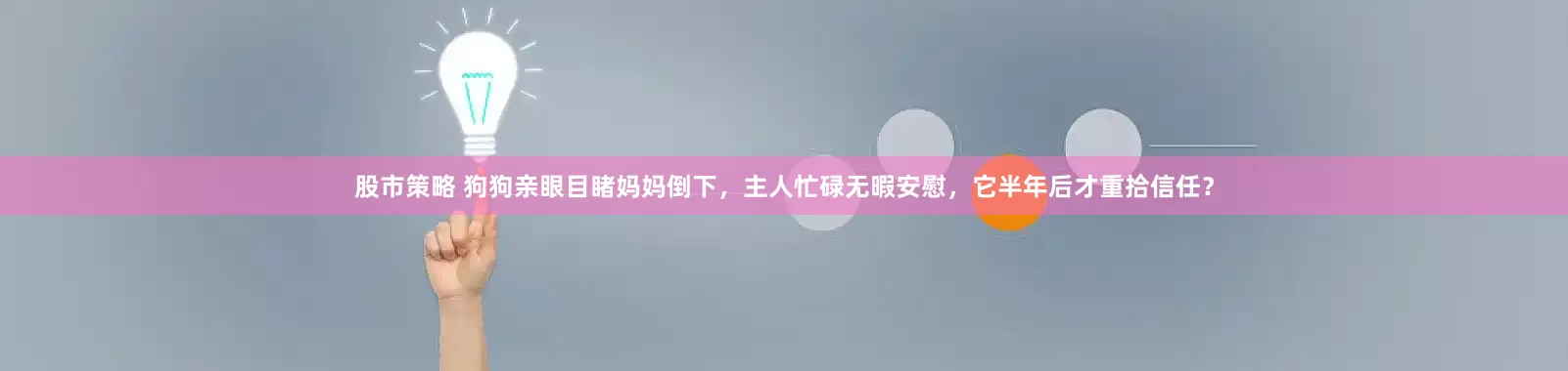 股市策略 狗狗亲眼目睹妈妈倒下，主人忙碌无暇安慰，它半年后才重拾信任？