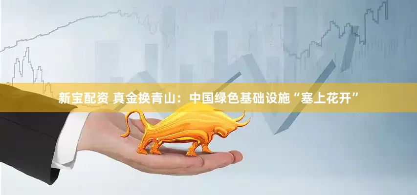 新宝配资 真金换青山：中国绿色基础设施“塞上花开”