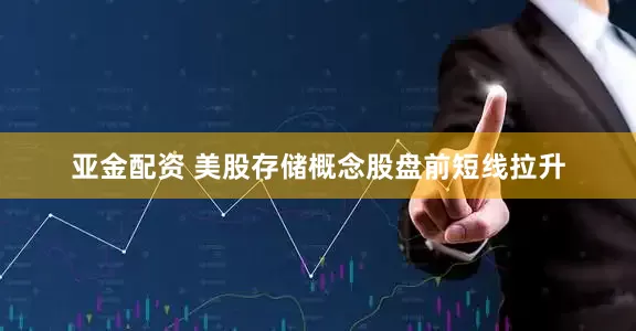 亚金配资 美股存储概念股盘前短线拉升